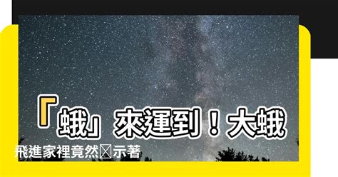 蛾飛到房間|【大蛾飛進家裡】大蛾飛進家裡！當心「這兩件事」將發生！